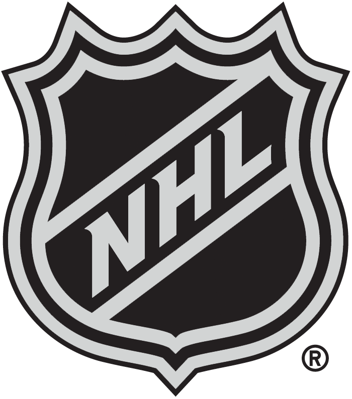 National Hockey League 2005-Pres Alternate Logo iron on heat transfer